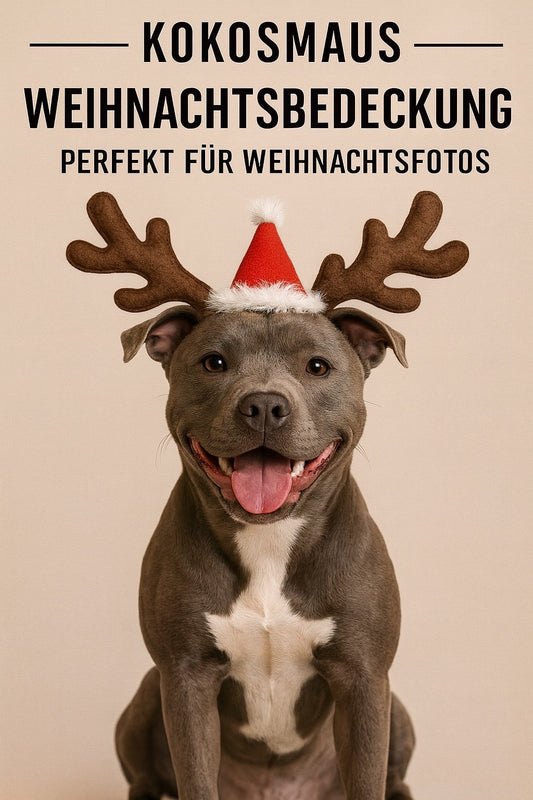 Kokosmaus Weihnachts-Kopfbedeckung für Hunde – Rentiergeweih & Nikolausmütze für perfekte Weihnachtsfotos