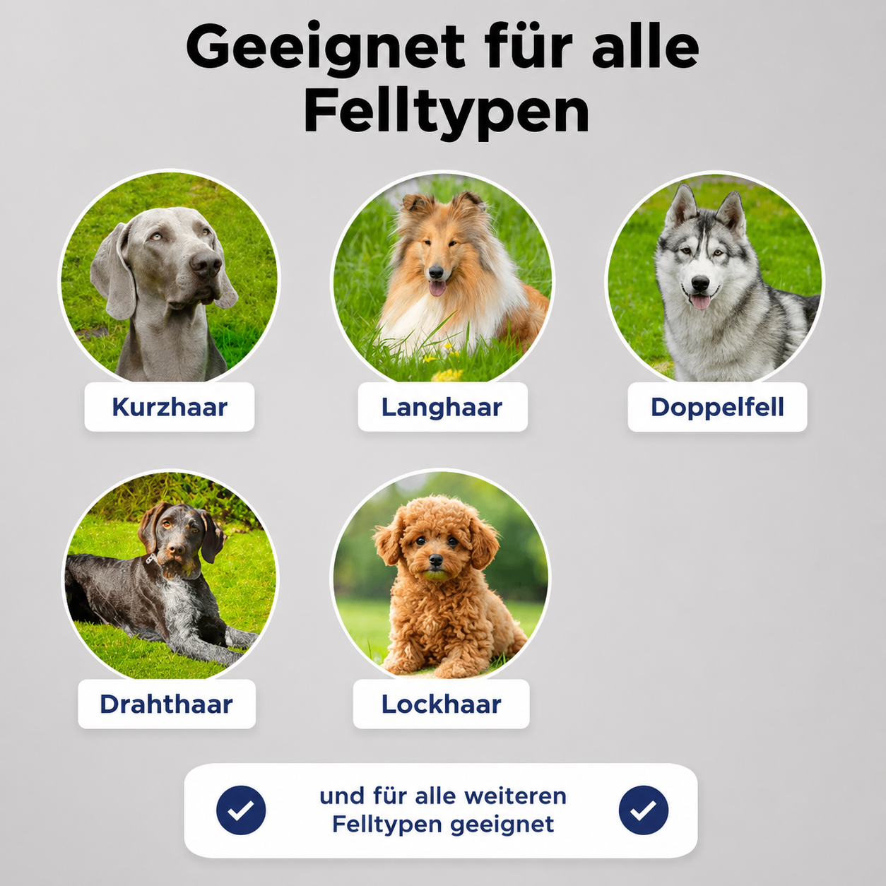 Kokosmaus Wunderbürste / Für alle Tiere geeignet