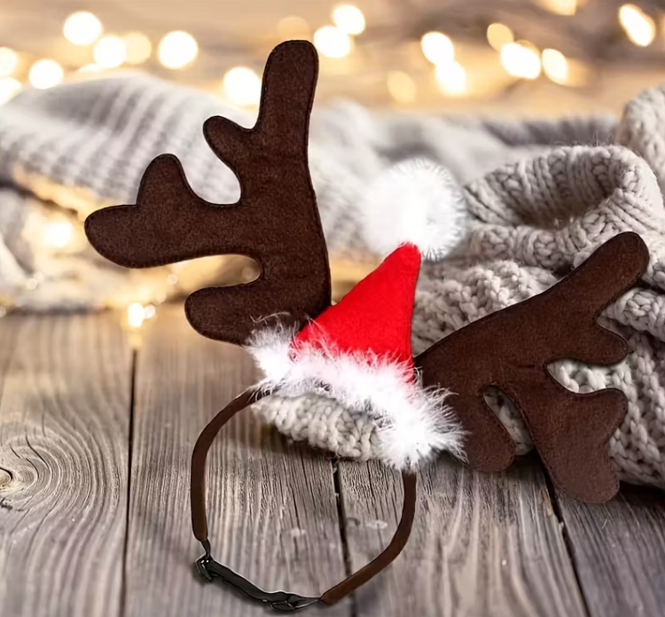 Kokosmaus Weihnachts-Kopfbedeckung für Hunde – Rentiergeweih & Nikolausmütze für perfekte Weihnachtsfotos